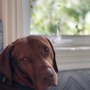 Meet your Posher, Kika